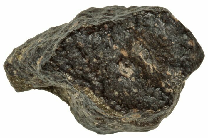 Abadla CM Chondrite Meteorite ( g) - Algeria #313042